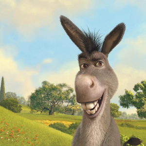 Burro shrek png