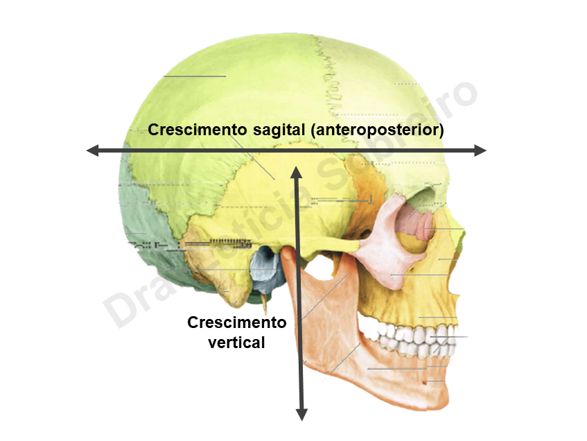 Sorriso na boca, sorriso na boca, ângulo, rosto, pessoas png